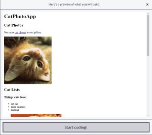 FreeCodeCamp Cat Project